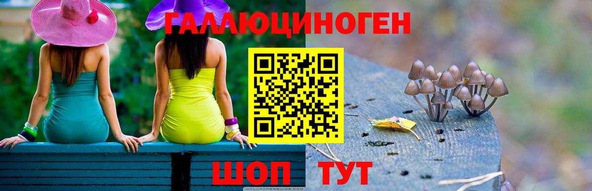 Псилоцибиновые грибы прущие грибы Мытищи